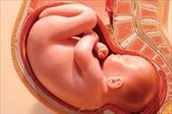 تحقیق اقدامات قبل از بارداری